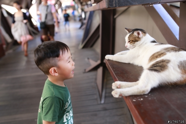 SIGMA35mm.f1.4，開心購入疊磚