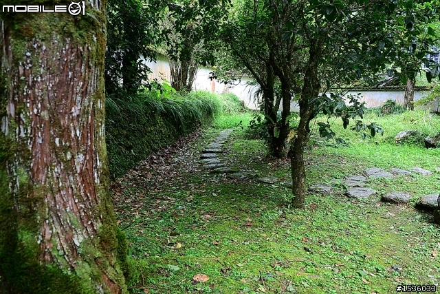 明池國家森林遊樂區之行
