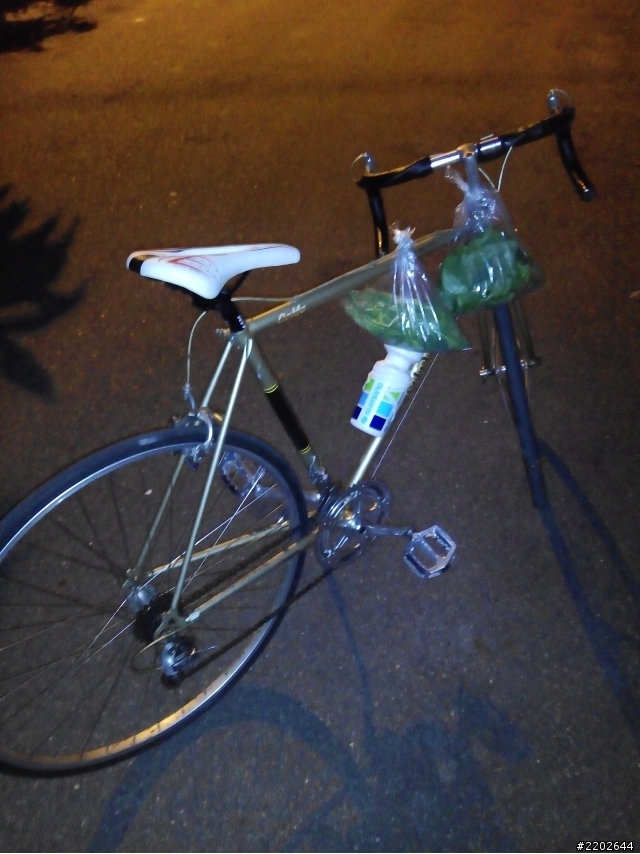 想請教各位前輩家中這台鋼管車的年代以及歷史?