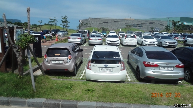 濟州島車拍(圖多慎入)