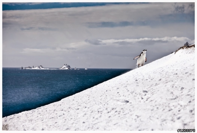 2013 Antarctica 南極