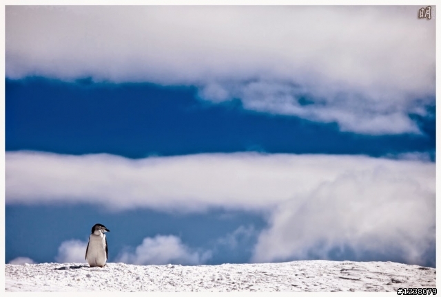 2013 Antarctica 南極