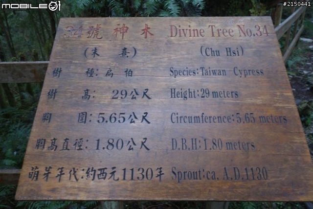 【北台灣行】北海岸.北橫公路(2014.1.19~01.25)-Day 4