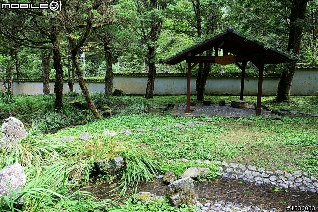 明池國家森林遊樂區之行