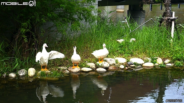 變型金剛大展之12-32初拍