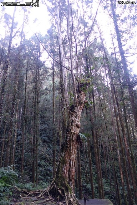 【北台灣行】北海岸.北橫公路(2014.1.19~01.25)-Day 5