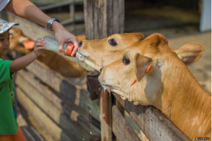 遊記- [飛牛牧場] 半日遊
