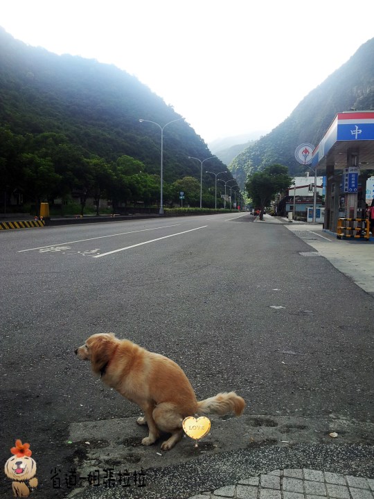 省道一姐幸運旅行 = 最美的人心 + 最好的風景