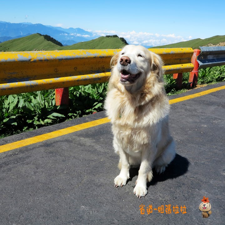 省道一姐幸運旅行 = 最美的人心 + 最好的風景