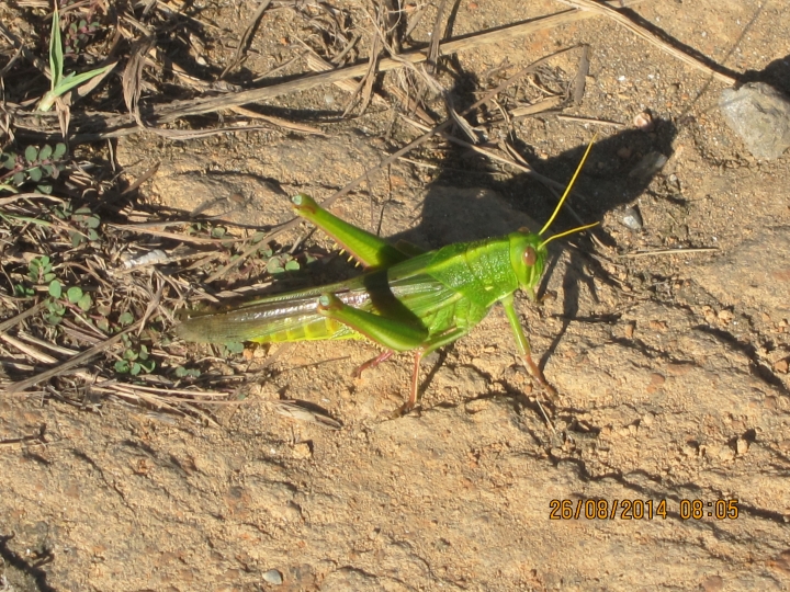 第一次環島之旅(四極點+中心點) Day5