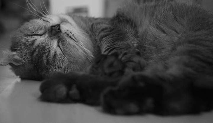 X-E1 + Summicron 35/2 8elements V1