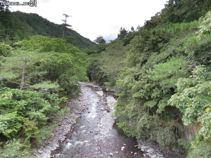 中橫-福壽山-武陵