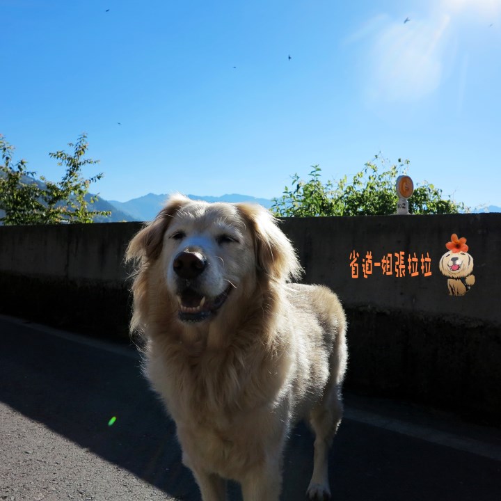 省道一姐幸運旅行 = 最美的人心 + 最好的風景