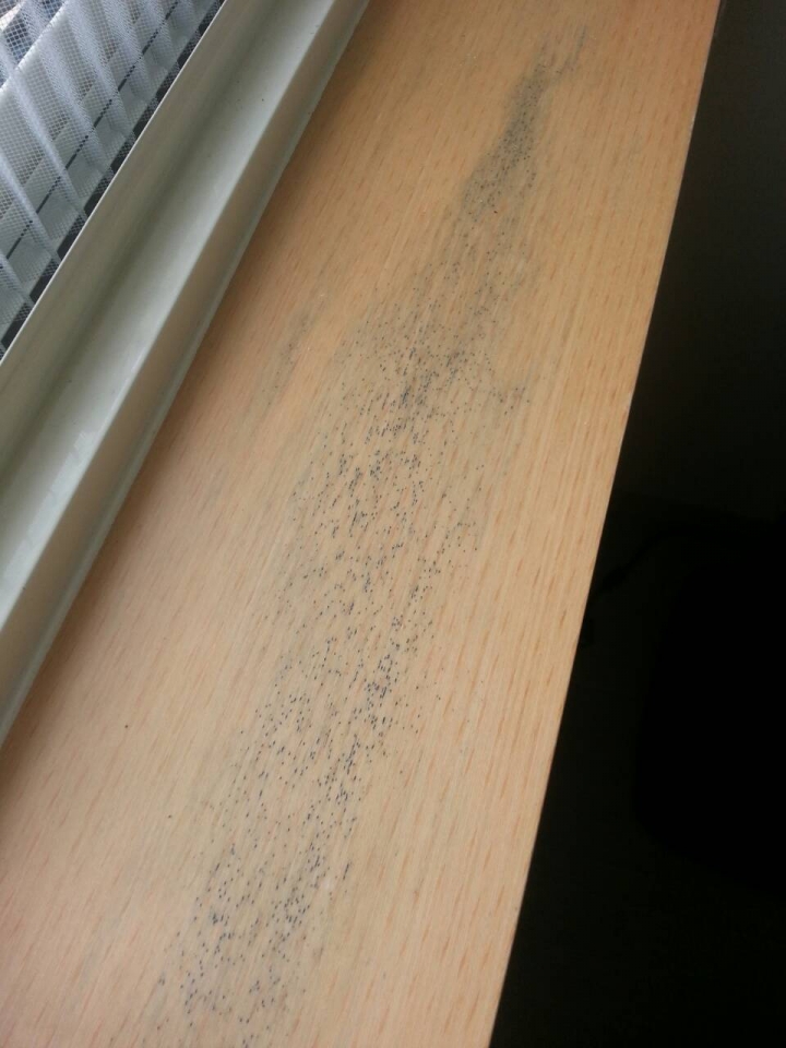 貼皮上面有黑色凸起物?