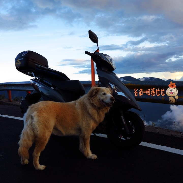 省道一姐幸運旅行 = 最美的人心 + 最好的風景