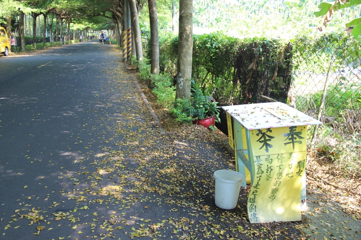 騎 遇 屏 東 「 潮 庄 」 最 美 的 故 鄉 …