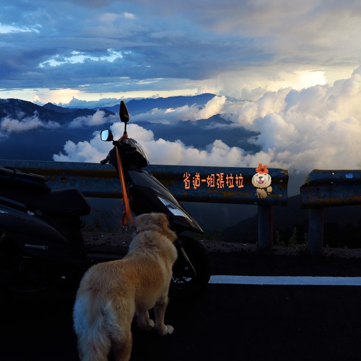 省道一姐幸運旅行 = 最美的人心 + 最好的風景