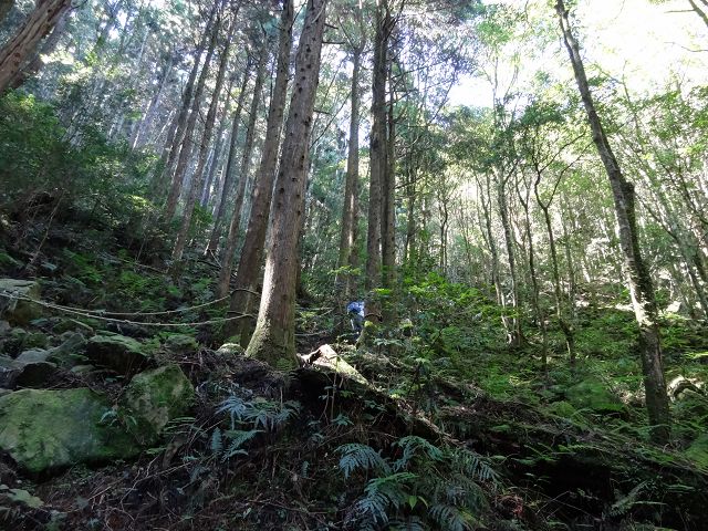 親子旅遊-橫嶺山步道