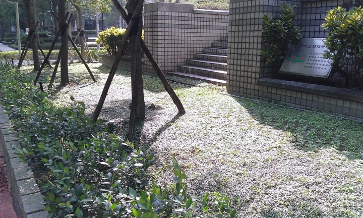 （文長）台北市政府建管處，要等到＂有＂人＂被＂撞＂死＂才願意處理嗎？拖延檢舉邁入第8個月