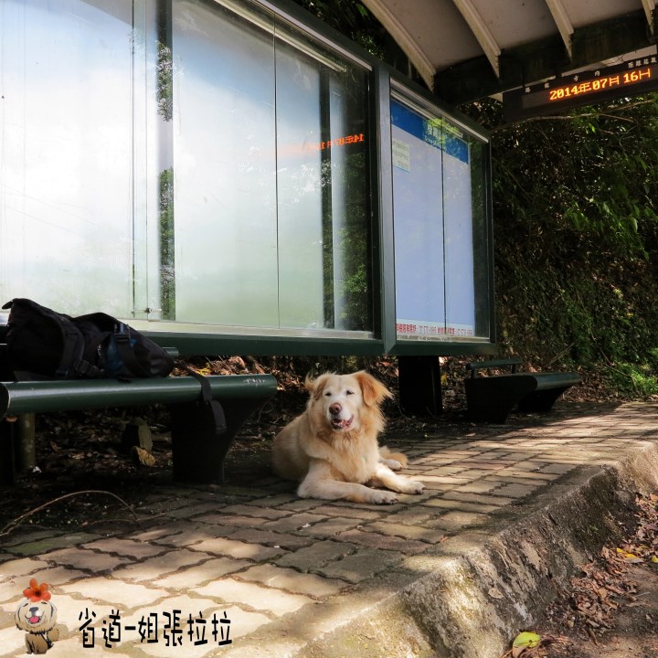 省道一姐幸運旅行 = 最美的人心 + 最好的風景