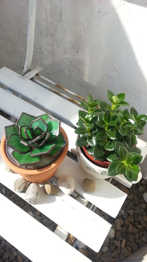 [手工部屋]  小小花園DIY