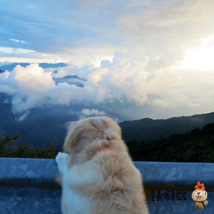 省道一姐幸運旅行 = 最美的人心 + 最好的風景