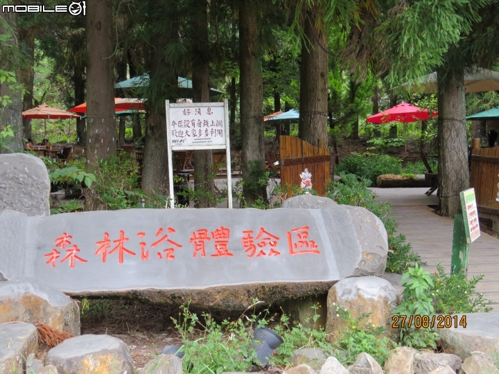 中橫-福壽山-武陵