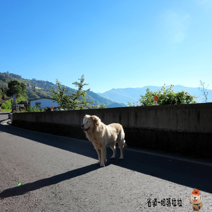 省道一姐幸運旅行 = 最美的人心 + 最好的風景