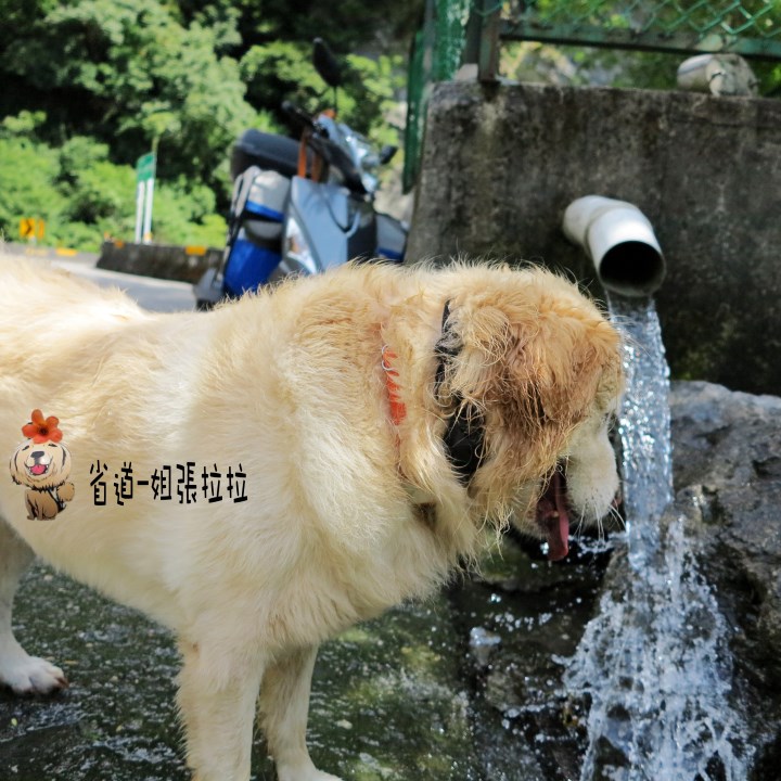 省道一姐幸運旅行 = 最美的人心 + 最好的風景