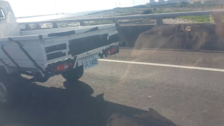 捕獲野生偽裝車