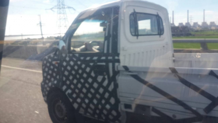 捕獲野生偽裝車