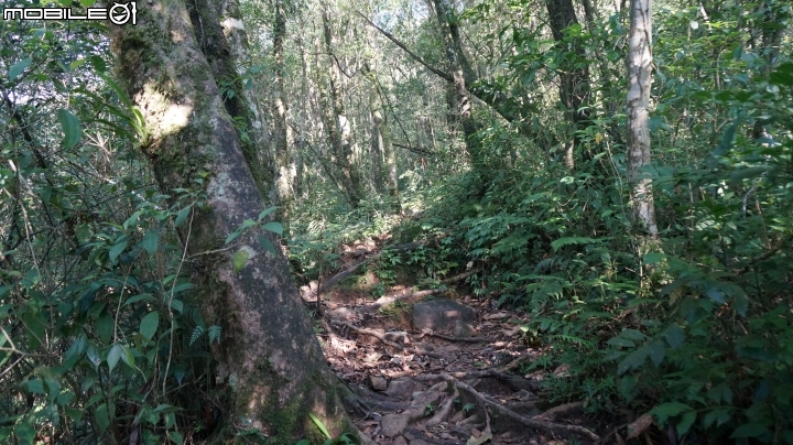 2014.8.23.宜蘭.17歲少女之湖.松蘿湖.[個人獨享]賺到