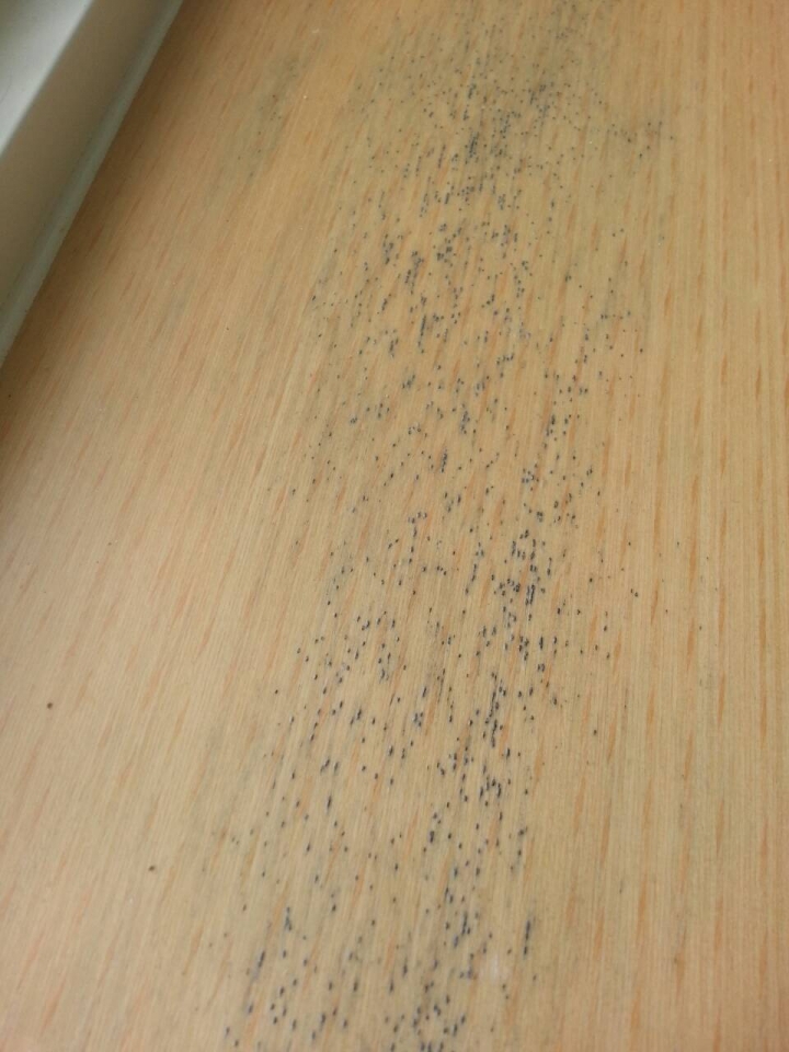 貼皮上面有黑色凸起物?