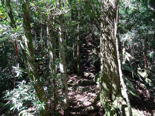 親子旅遊-橫嶺山步道