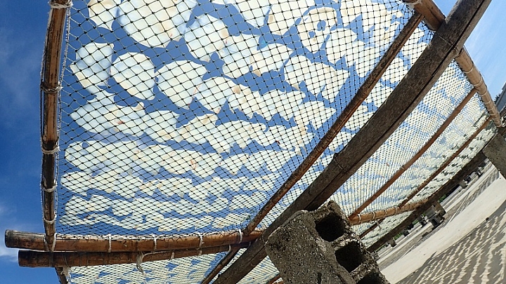TG-3&魚眼鏡頭使用心得