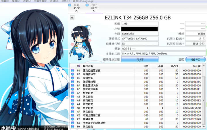 Ezlink T-34 256GB 壽命測試 (2015/3/22更新)~終點。