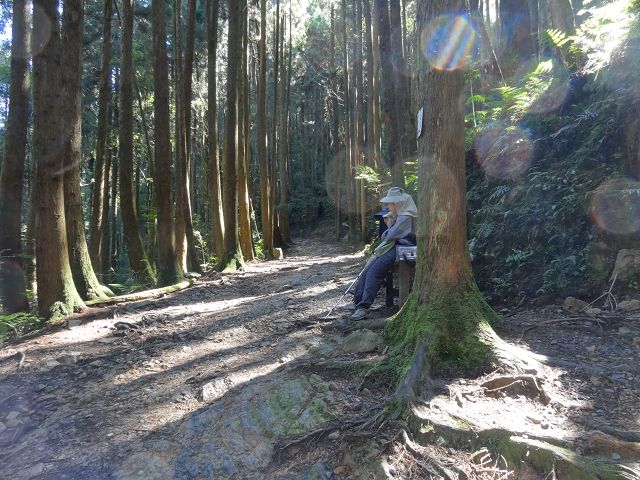 親子旅遊-橫嶺山步道