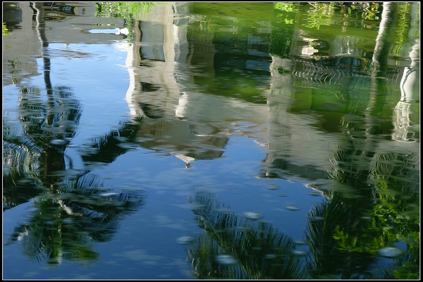 2014.07.26~2014.07.30  五天四夜洄瀾遊蹤(圖多文長)