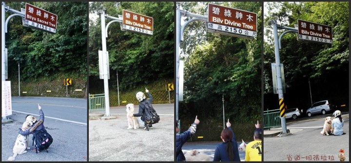 省道一姐幸運旅行 = 最美的人心 + 最好的風景