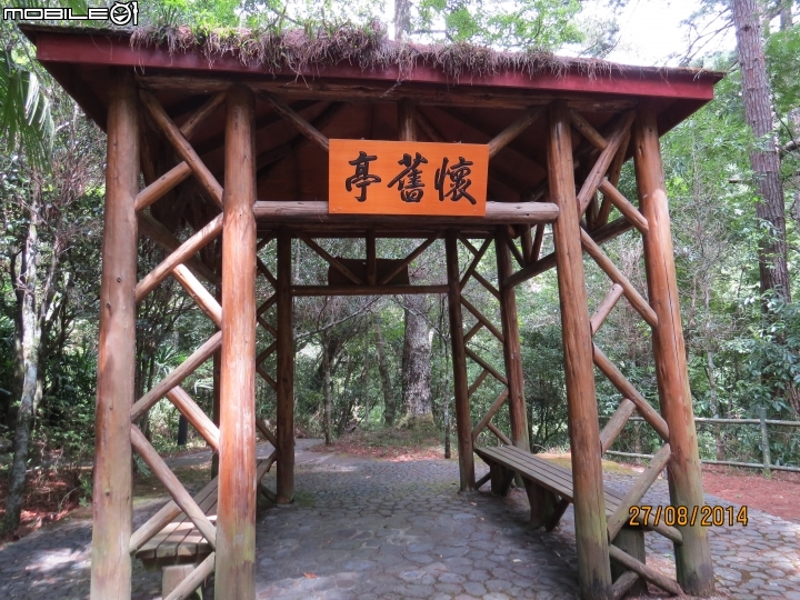 中橫-福壽山-武陵