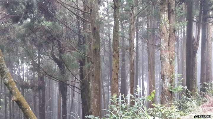 粉領族～大雪山的騎幻旅程