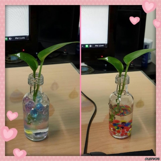 更新於12/17邁向第12年)預算不足夫妻同心油漆&整修17坪的起家厝點滴..