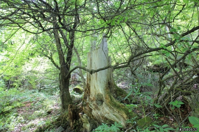 大陸 廣東佛山小黃蜂進藏-----崎嶇的線路，悲慘的收局！-----行程5