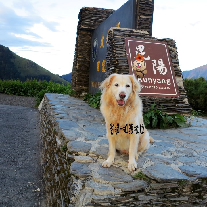 省道一姐幸運旅行 = 最美的人心 + 最好的風景