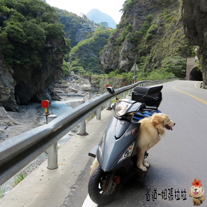 省道一姐幸運旅行 = 最美的人心 + 最好的風景