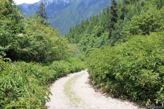 大陸 廣東佛山小黃蜂進藏-----崎嶇的線路，悲慘的收局！-----行程5