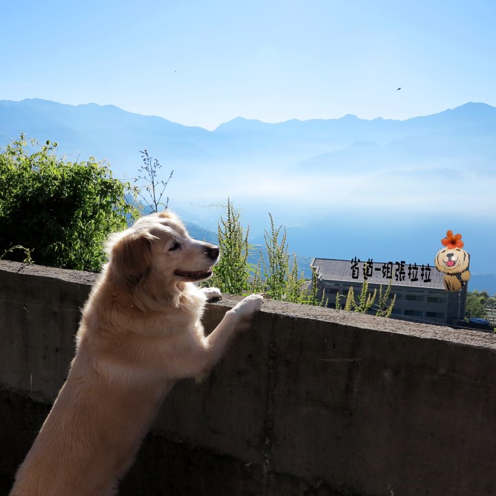省道一姐幸運旅行 = 最美的人心 + 最好的風景