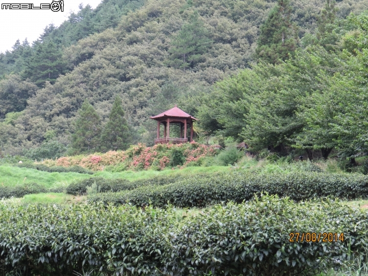 中橫-福壽山-武陵