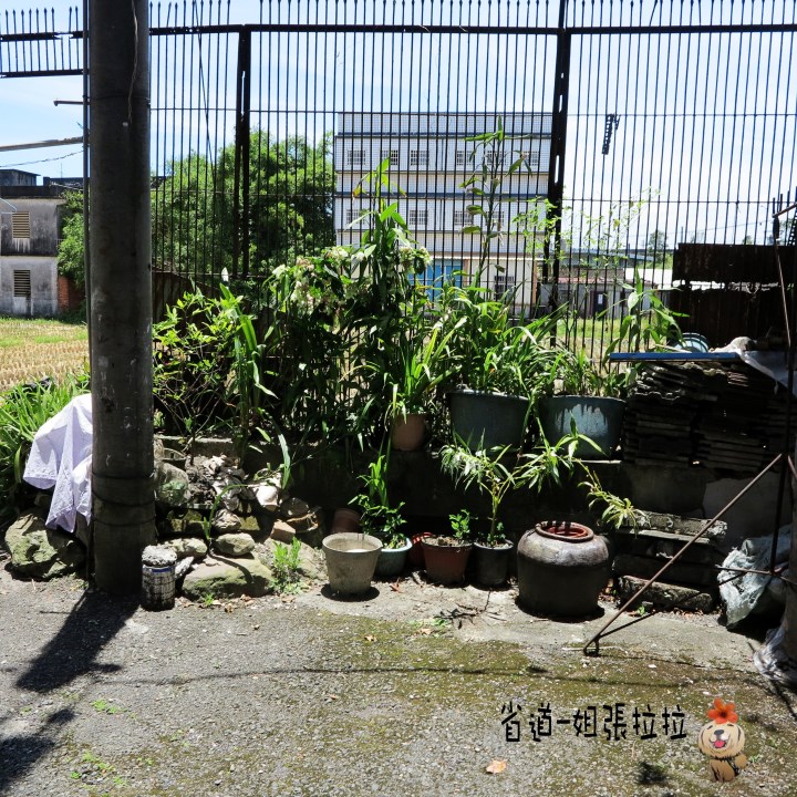 省道一姐幸運旅行 = 最美的人心 + 最好的風景