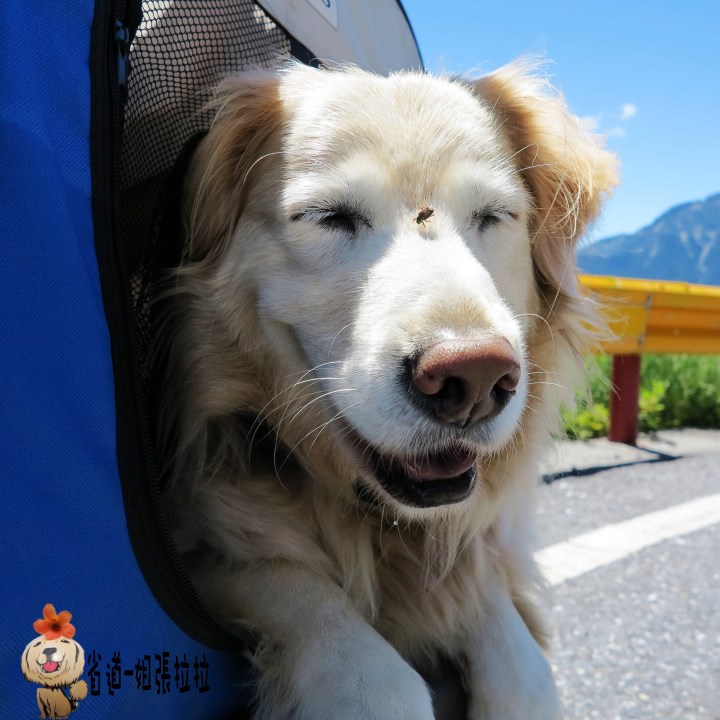 省道一姐幸運旅行 = 最美的人心 + 最好的風景